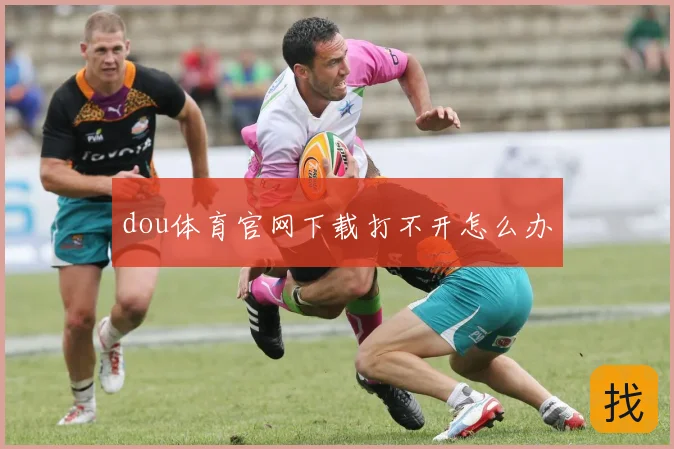 dou体育官网下载打不开怎么办